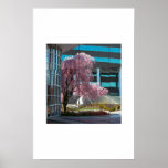 reflection poster