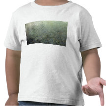 Reflections in stream tshirt