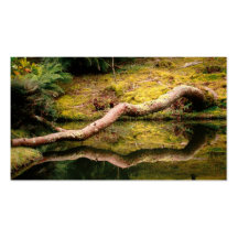 Reflections in the park - Pocket calendar Business Cards