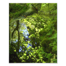 Reflections Photo Art