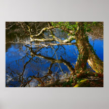 REFLECTIVE POSTER
