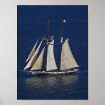 Regatta Print