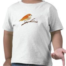 Reginald Robin Shirts