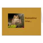 Remember now... cards