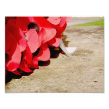 Remember Photographic Print