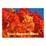 Reminder Appointment Cards Autumn Leaves Fall Business Card
