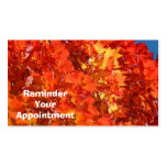 Reminder Your Appointment Cards Colourful Autumn Business Card Template