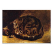 Renoir Sleeping Cat Print Photograph