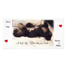 Rescue & Adopt..Don't Shop Picture Card