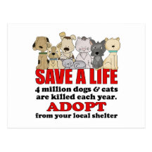 Rescue Animals Post Cards