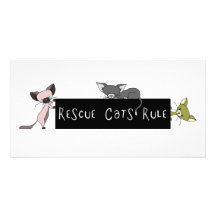 Rescue Cats Rule! Custom Photo Card