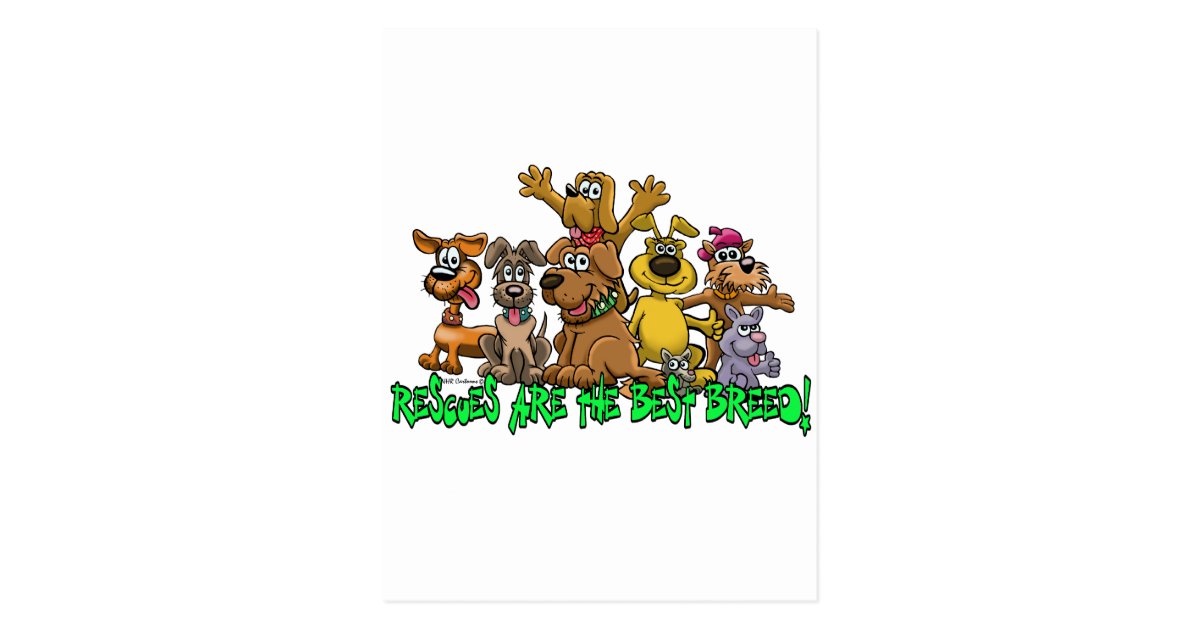 Best Way To Line Breed Dogs Best Way To Line Breed Dogs
