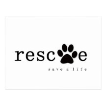 RESCUE -  Save A Life Postcard
