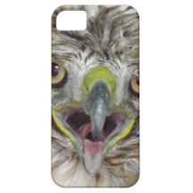 Rescued and Released Hawk iPhone 5 Covers