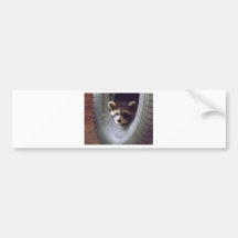 rescued and released racoon bumper stickers