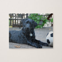 Rescued Dog Puzzle