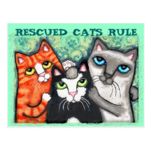 Rescued / Shelter Cat's Postcard
