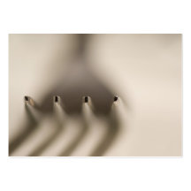 Restaurant Business Card