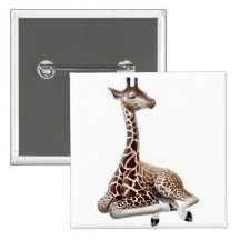 Resting Baby Giraffe Pin