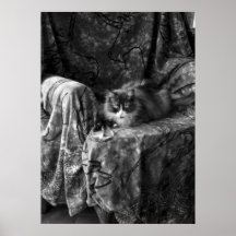 Resting Grey Posters