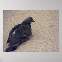 Resting on the pavement (poster)