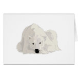 resting polar bear greeting cards