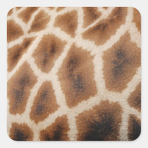 Reticulated Giraffe Pattern Wild Animal Print Gift Stickers