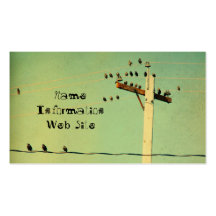 Retro Birds Business Card Template
