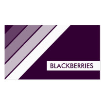 retro BLACKBERRIES Business Cards