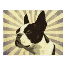 retro boston terrior postcards