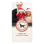 Retro Christmas Golden Retriever Custom Photo Photo Cards