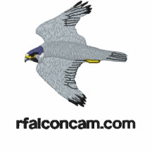 Rfalconcam Light-coloured Embroidered Shirt