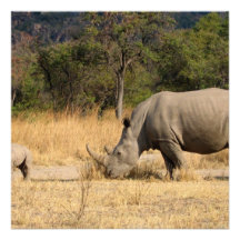 Rhinoceros Family Invitation