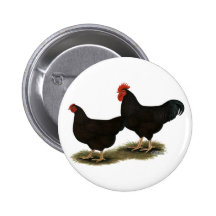Rhode Island Red Bantams Pin