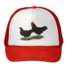 Rhode Island Red Bantams Trucker Hats