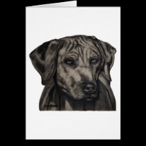 Rhodesian Ridgeback Dog Art - zulu cards