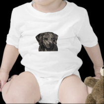 Rhodesian Ridgeback Dog Art - zulu t-shirts