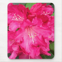 Rhododendron In Pink Mouse Mats