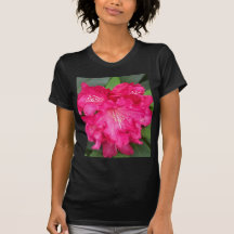 Rhododendron In Pink Shirts