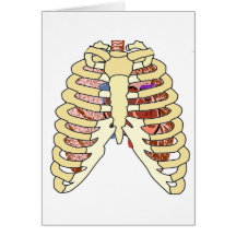 Rib Cage Lungs & Heart Greeting Cards