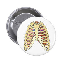 Rib Cage Lungs & Heart Pins