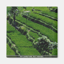 Rice paddy fields, Bali, Indonesia Fridge Magnets