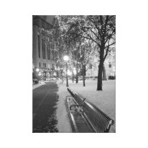 Rice Park in WInter Canvas Prints