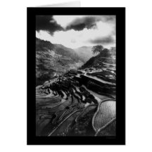 Rice Terrace Philippines 1898 Card