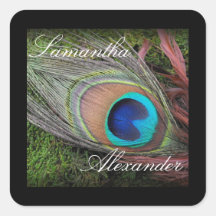 Rich Peacock Feather with Green Moss Square Sticker