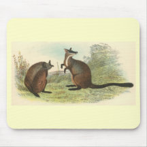 Richard Lydekker - Brush-Tailed Rock-Wallaby Mouse Pad