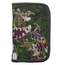 rick-saw folio daylilly dayplanner