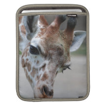 Rickshaw Sleeve iPad Sleeves - Customised