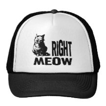 Right MEOW! Funny Evil Kitty Mesh Hats