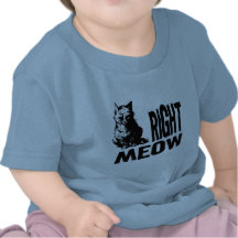 Right MEOW! Funny Evil Kitty Tshirts